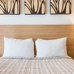 Beach Apartments For 12 In Playa